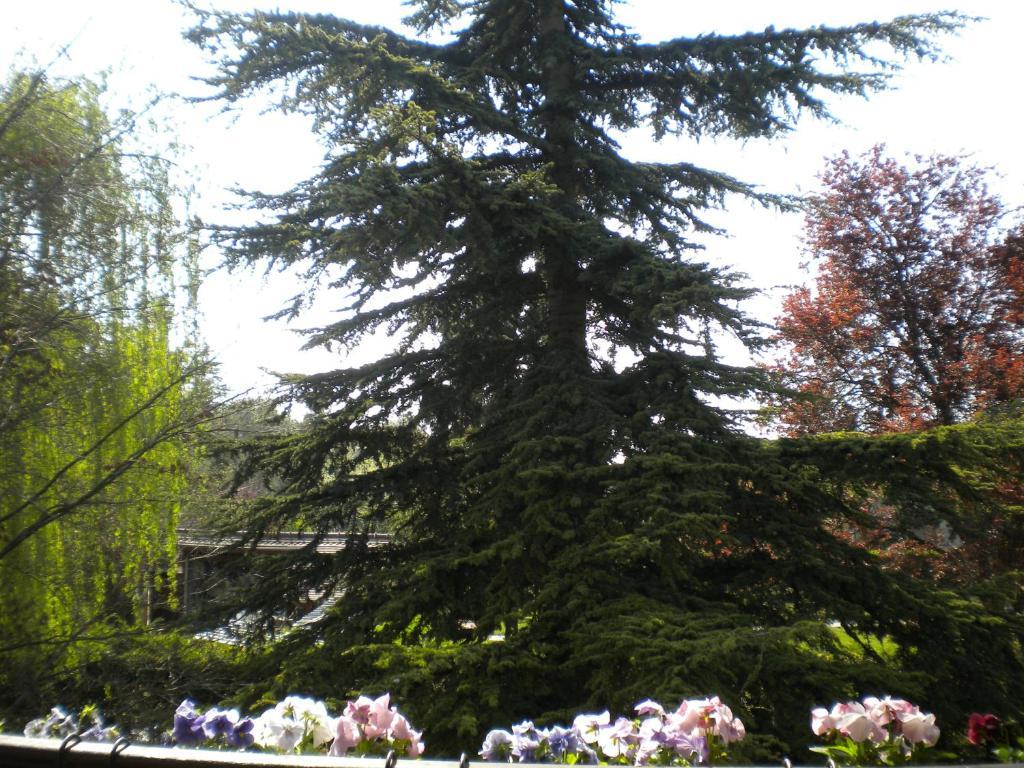 Aux Marguerites Villa Sainte-Genevieve-les-Gasny Værelse billede
